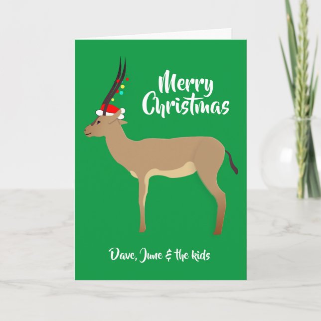 Cartes Pour Fêtes Annuelles Springbok de Noël (Devant)