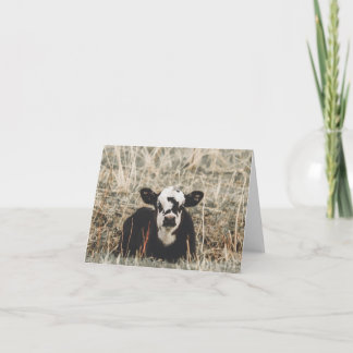 Cartes Pour Fêtes Annuelles Springtime Calf - 4" x 5.6" Notecard