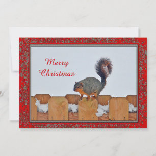 Cartes Pour Fêtes Annuelles Squirel Fence Snow Photo Christmas Flat