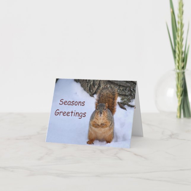 Cartes Pour Fêtes Annuelles SquirlChristmas (Devant)