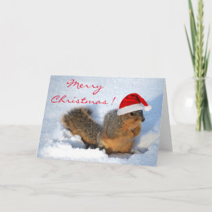 Cartes Pour Fêtes Annuelles Squirrel Holiday