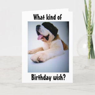 CARTES POUR FÊTES ANNUELLES ST. BERNARD ENVOIE DES SOUHAITS D'ANNIVERSAIRE "ÉN