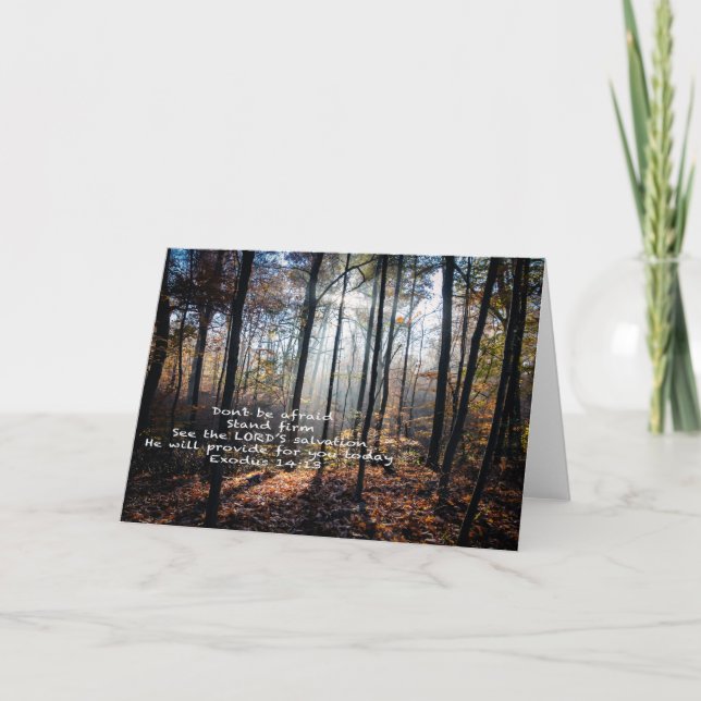 Cartes Pour Fêtes Annuelles Stand Firm — (Devant)