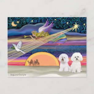 Cartes Pour Fêtes Annuelles Star de Noël - Bichon Frise (deux)