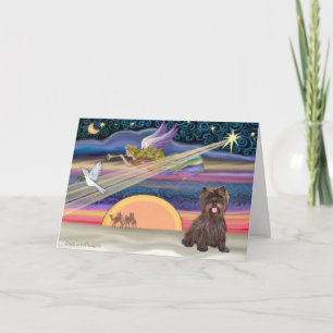 Cartes Pour Fêtes Annuelles Star de Noël - Cairn Terrier (brindle)