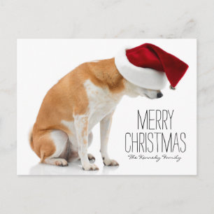 Cartes Pour Fêtes Annuelles Studio photo du chien de Shiba Inu portant le chap