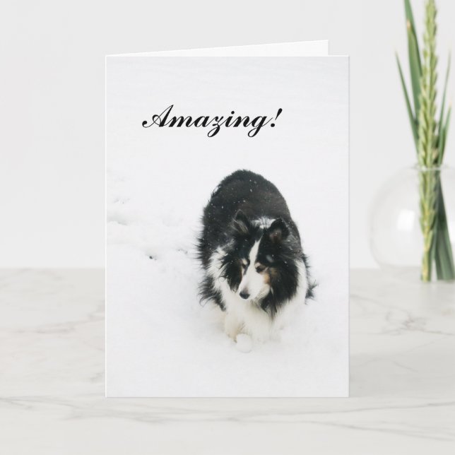 Cartes Pour Fêtes Annuelles Stupéfier ! (Devant)