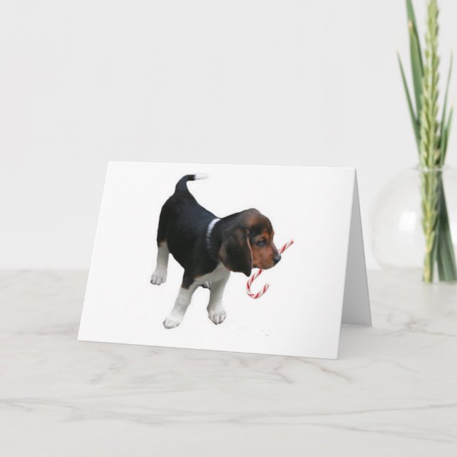 Cartes Pour Fêtes Annuelles Sucre de canne de Noël beagle Chiot (Devant)