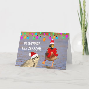 Cartes Pour Fêtes Annuelles Super Silencieux Canard Et Poisson Noël