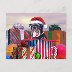 Cartes Pour Fêtes Annuelles Surprise de Noël