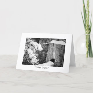 Cartes Pour Fêtes Annuelles "Surprise d'hiver "