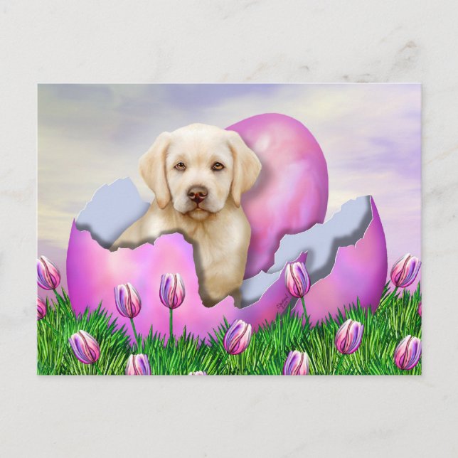 Cartes Pour Fêtes Annuelles Surprise jaune de Labrador Pâques (Devant)