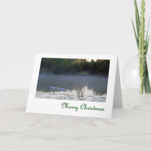 Cartes Pour Fêtes Annuelles Swans dans le Merry Christmas (Devant)