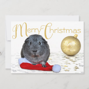 Cartes Pour Fêtes Annuelles Sweet Joyeux Noël Guinée Cochon Or Ornament