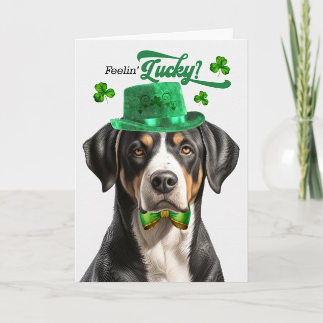 Cartes Pour Fêtes Annuelles Swiss Mountain Dog Feelin' Lucky St Patrick's Day (Devant)