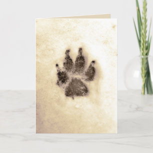 Cartes Pour Fêtes Annuelles Sympathie avec l'animal