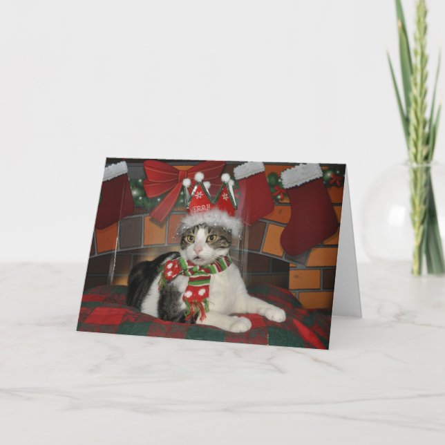 Cartes Pour Fêtes Annuelles Tabby black and white cat card (Devant)