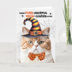 Cartes Pour Fêtes Annuelles Tabby British Halloween Chat PURRanormal MEOWolwee