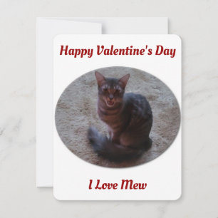 Cartes Pour Fêtes Annuelles Tabby Cat Mewing Photo I Love Mew Valentines