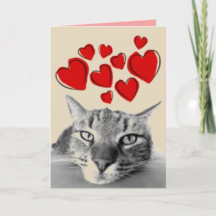 CARTES POUR FÊTES ANNUELLES TABBY CAT VALENTINE'S DAY GREETING CARDS