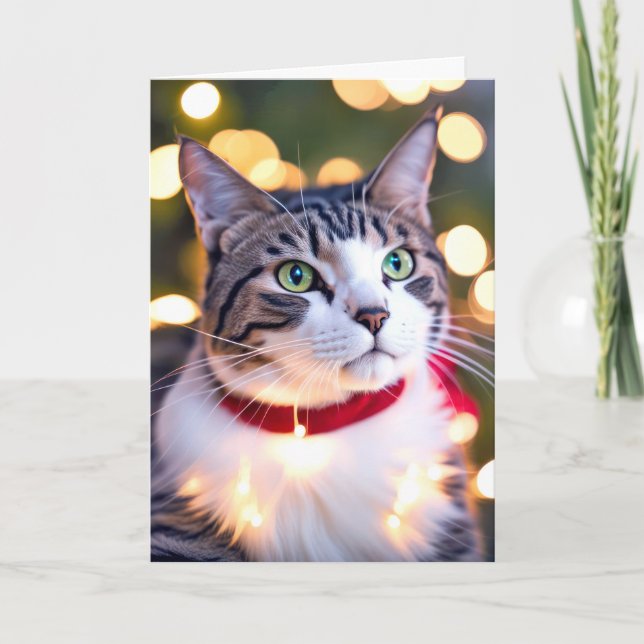 Cartes Pour Fêtes Annuelles Tabby Chat En Vacances (Devant)