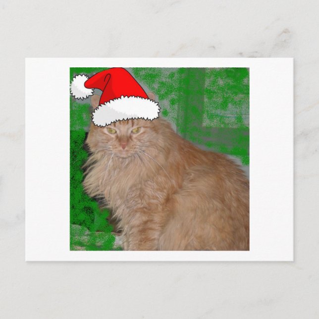 Cartes Pour Fêtes Annuelles Tabby de Noël Orange Kitty Chat (Devant)