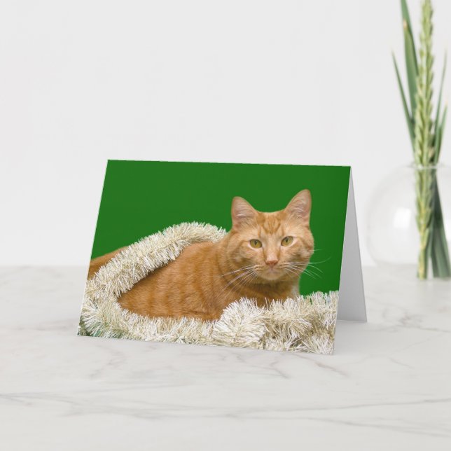 Cartes Pour Fêtes Annuelles Tabby orange Noël (Devant)