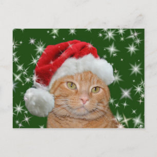 Cartes Pour Fêtes Annuelles Tabby orange Père Noël