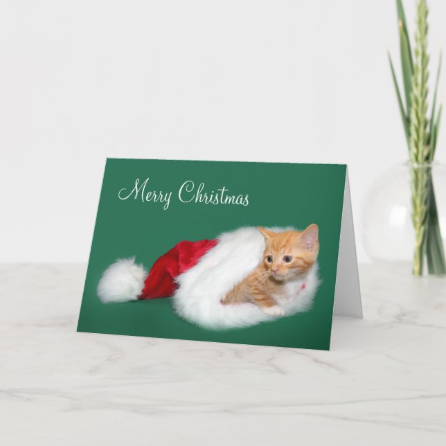 Cartes Pour Fêtes Annuelles Tabby orange Santa hat (Devant)