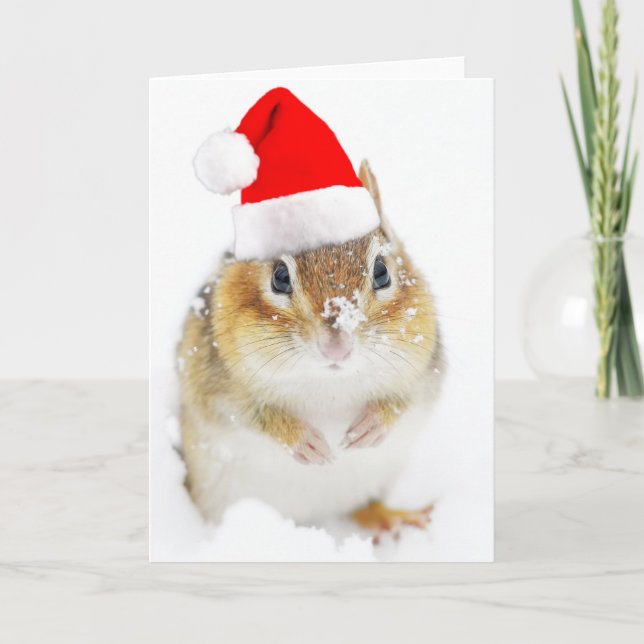 Cartes Pour Fêtes Annuelles Tamia de Milou Père Noël (Devant)