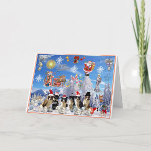 Cartes Pour Fêtes Annuelles Tarjeta de navidad Border Collie