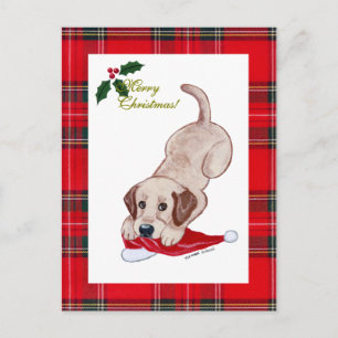 Cartes Pour Fêtes Annuelles Tartan jaune de casquette de Père Noël de Noël de