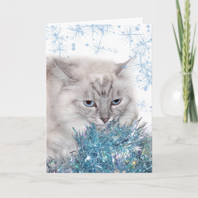 Cartes Pour Fêtes Annuelles T'as manqué Noël chou (Devant)