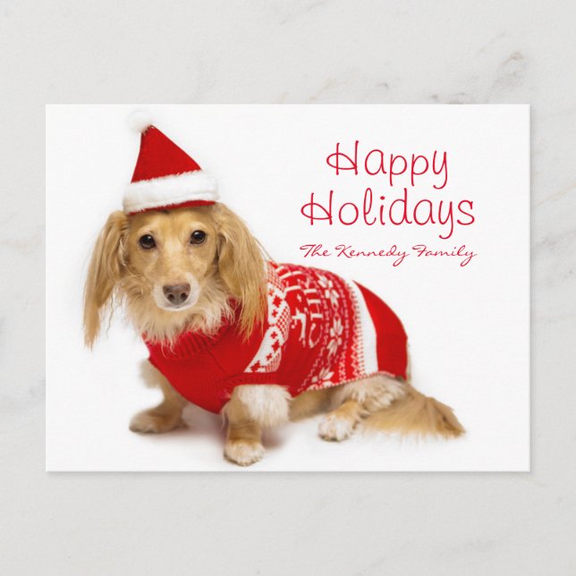 Cartes Pour Fêtes Annuelles Teckel à cheveux longs portant Noël rouge (Devant)