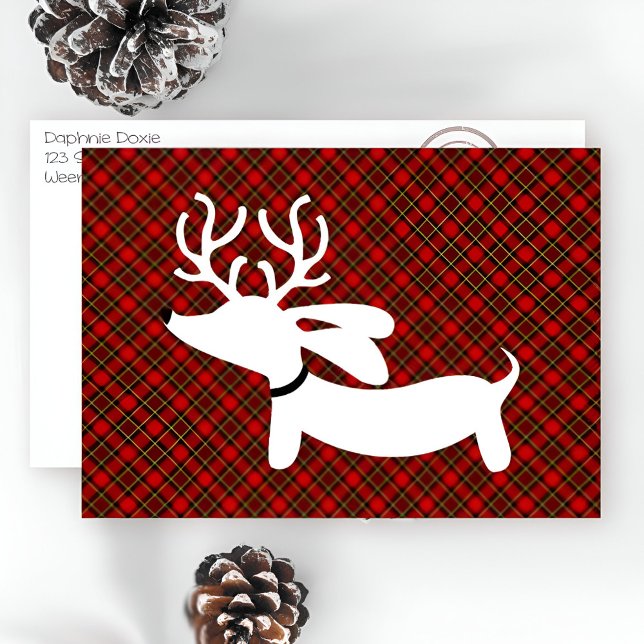 Cartes Pour Fêtes Annuelles Teckel blanc de renne sur le plaid (Wiener dog Dachshund through the snow weendeer wiener dog.)