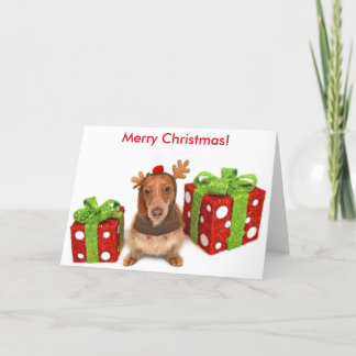 Cartes Pour Fêtes Annuelles Teckel de Noël