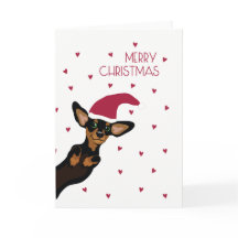 Teckel mignon avec Noël de casquette de Père Noël