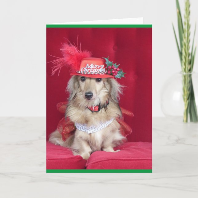 Cartes Pour Fêtes Annuelles Teckel mignon habillé pour Noël (Devant)