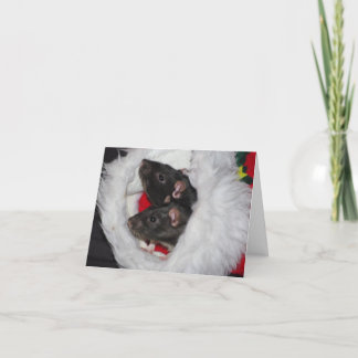 Cartes Pour Fêtes Annuelles Templeton et Noël de Wilbur