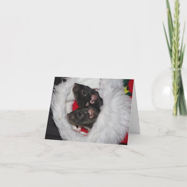 Cartes Pour Fêtes Annuelles Templeton et Noël de Wilbur (Devant)