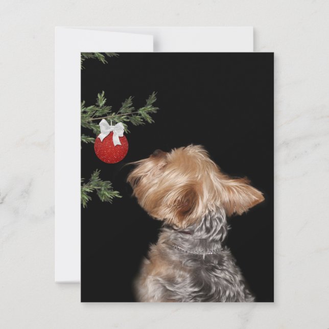 Cartes Pour Fêtes Annuelles Tentation de Noël Yorkie (Devant)