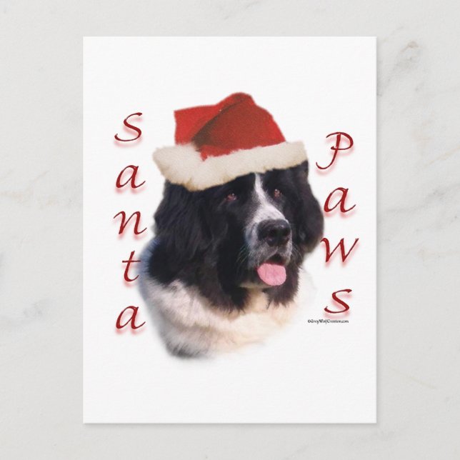 Cartes Pour Fêtes Annuelles Terre-Neuve (atterrisseur) Père Noël Paws (Devant)