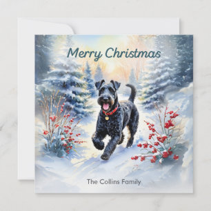 Cartes Pour Fêtes Annuelles Terrier bleu de Kerry dans la neige Joyeux Noël d'