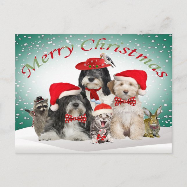 Cartes Pour Fêtes Annuelles Terrier Christmas With Friends (Devant)