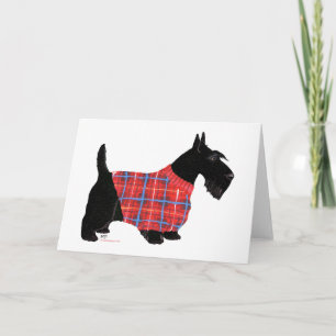Cartes Pour Fêtes Annuelles Térrier écossais en pull