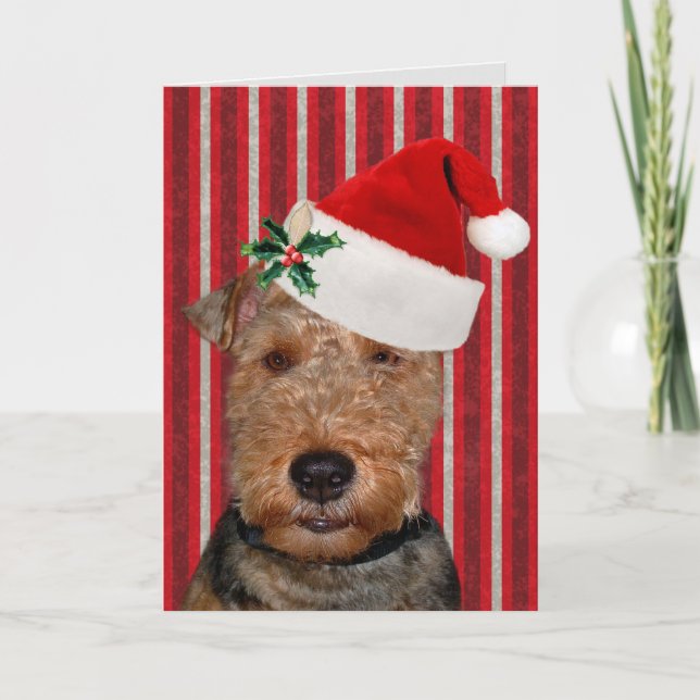 Cartes Pour Fêtes Annuelles Terrier gallois festif (Devant)