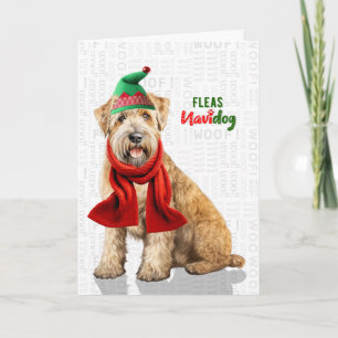 Cartes Pour Fêtes Annuelles Térrier Irlandais Drôle Puce Navidog Noël