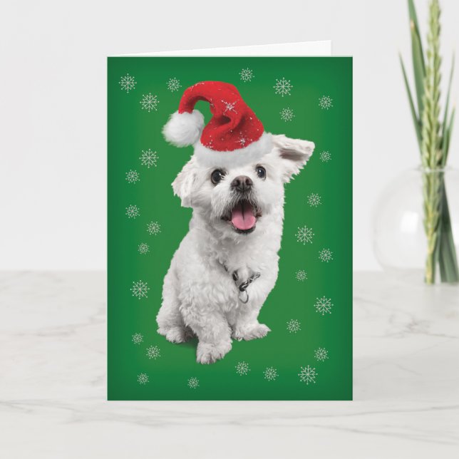 Cartes Pour Fêtes Annuelles Terrier Maltais Avec Noël Chapeau (Devant)
