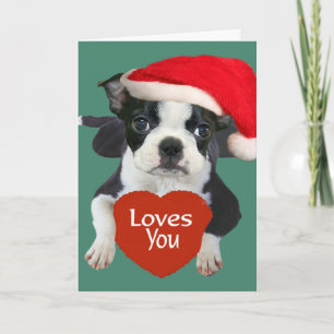 Cartes Pour Fêtes Annuelles Terriers Père Noël de Boston