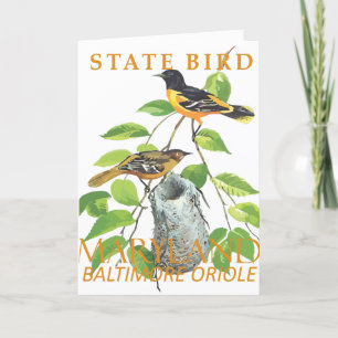 Cartes Pour Fêtes Annuelles Territoire du Maryland Oiseau Le Icterus galbula